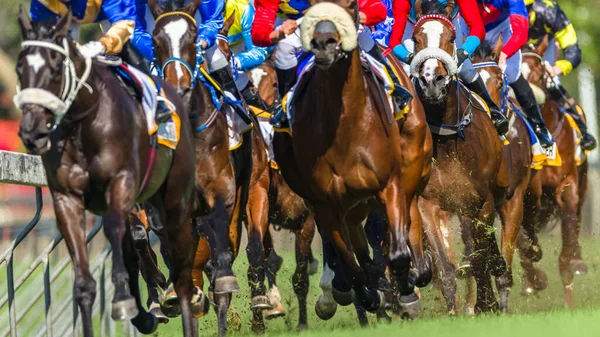 赛马场动物骑师的草道动作特写摘要照片 — 图库照片