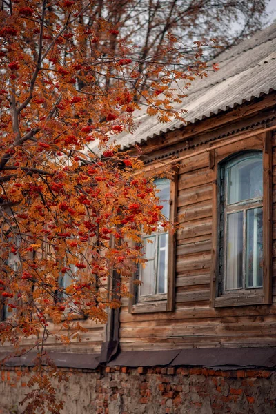 Photo Frêne Rouge Près Une Vieille Maison — Photo