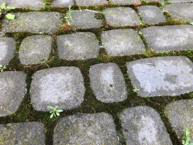 Gündüz vakti bahçesinde yeşil çimen ve yosun bulunan çeşitli renklerde birbirine yakın kaldırımlar.