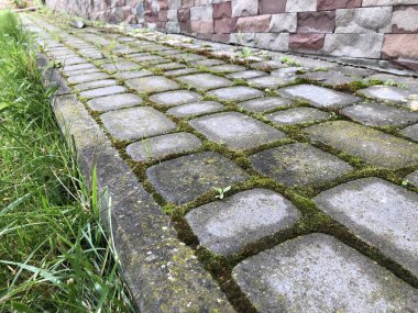 Gündüz vakti bahçesinde yeşil çimen ve yosun bulunan çeşitli renklerde birbirine yakın kaldırımlar.