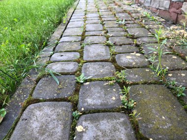 Gündüz vakti bahçesinde yeşil çimen ve yosun bulunan çeşitli renklerde birbirine yakın kaldırımlar.