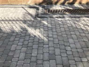 Gündüzleri şık bahçede çeşitli renklerde birbirine yakın köşeler.