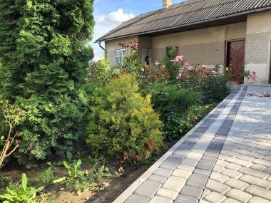 Gündüzleri şık bahçede çeşitli renklerde birbirine yakın köşeler.