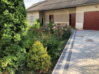 Gündüzleri şık bahçede çeşitli renklerde birbirine yakın köşeler.