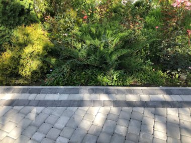 Gündüzleri şık bahçede çeşitli renklerde birbirine yakın köşeler.