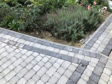 Gündüzleri şık bahçede çeşitli renklerde birbirine yakın köşeler.