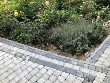 Gündüzleri şık bahçede çeşitli renklerde birbirine yakın köşeler.