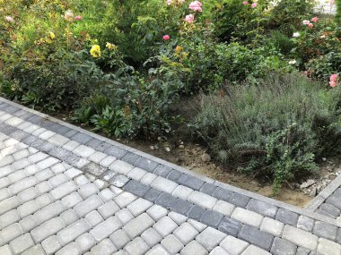 Gündüzleri şık bahçede çeşitli renklerde birbirine yakın köşeler.