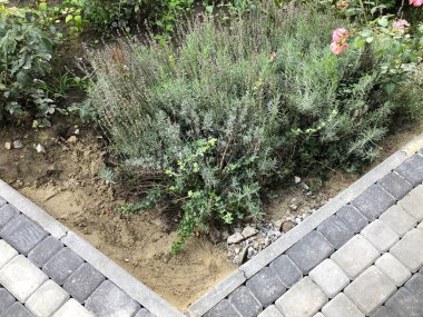 Gündüzleri şık bahçede çeşitli renklerde birbirine yakın köşeler.