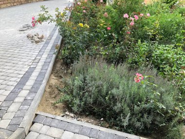 Gündüzleri şık bahçede çeşitli renklerde birbirine yakın köşeler.