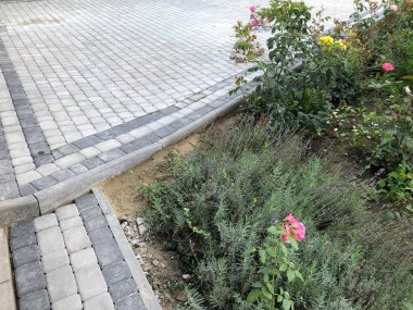 Gündüzleri şık bahçede çeşitli renklerde birbirine yakın köşeler.