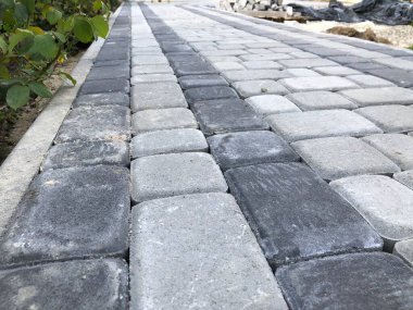 Gündüzleri şık bahçede çeşitli renklerde birbirine yakın köşeler.