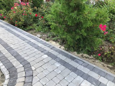 Gündüzleri şık bahçede çeşitli renklerde birbirine yakın köşeler.