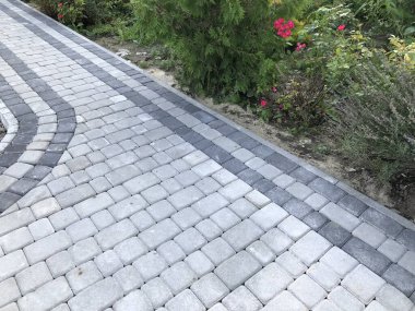 Gündüzleri şık bahçede çeşitli renklerde birbirine yakın köşeler.