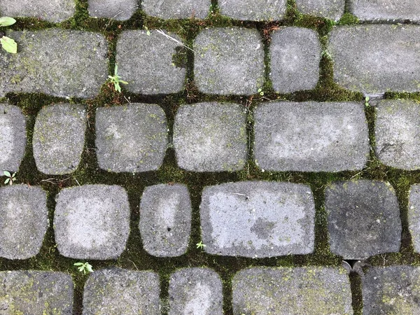 Pavimentazioni Nidificate Vari Colori Con Erba Verde Muschio Giardino Chic — Foto Stock