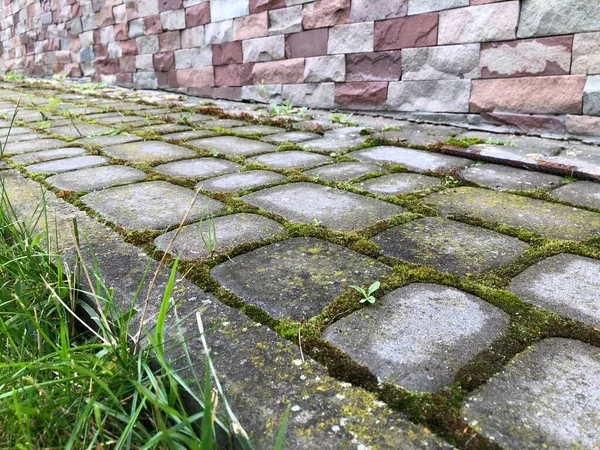 Pavers Aninhados Várias Cores Com Grama Verde Musgo Jardim Chique — Fotografia de Stock