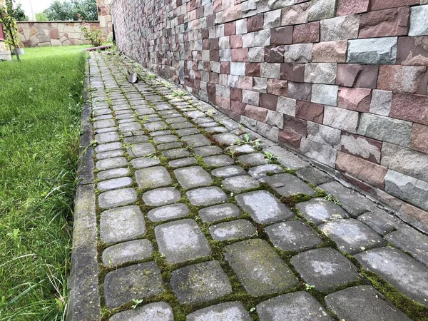 Pavers Aninhados Várias Cores Com Grama Verde Musgo Jardim Chique — Fotografia de Stock