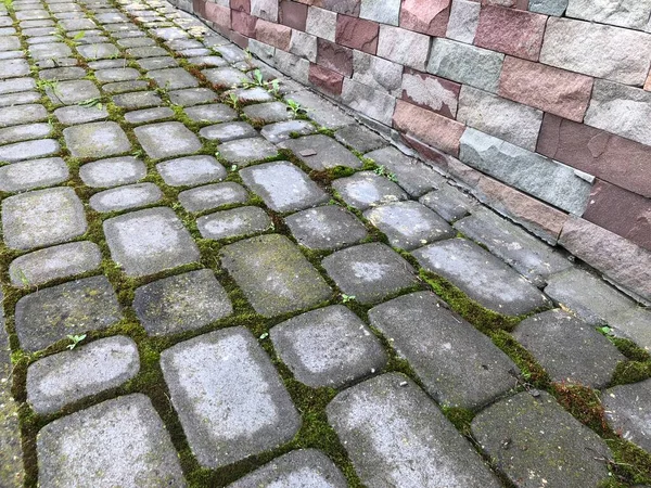 Pavers Aninhados Várias Cores Com Grama Verde Musgo Jardim Chique — Fotografia de Stock