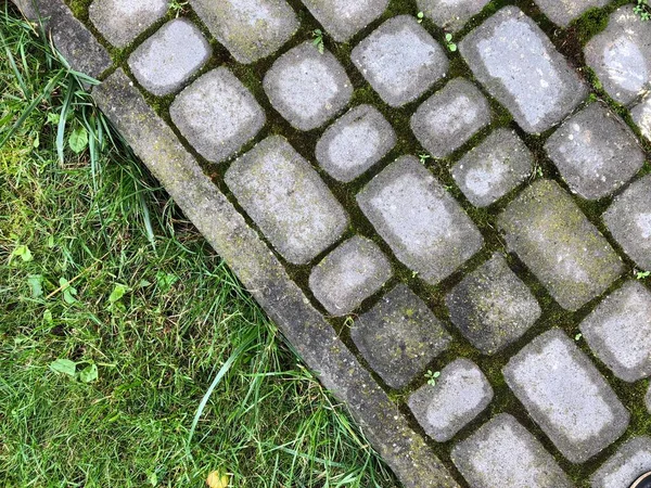 Pavés Imbriqués Différentes Couleurs Avec Herbe Verte Mousse Dans Jardin — Photo