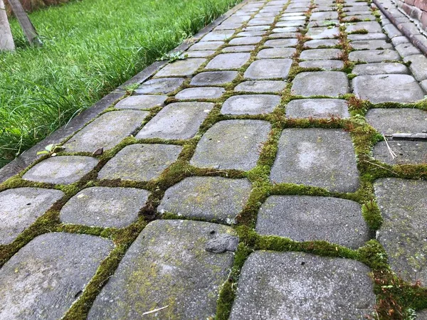 Pavimentazioni Nidificate Vari Colori Con Erba Verde Muschio Giardino Chic — Foto Stock