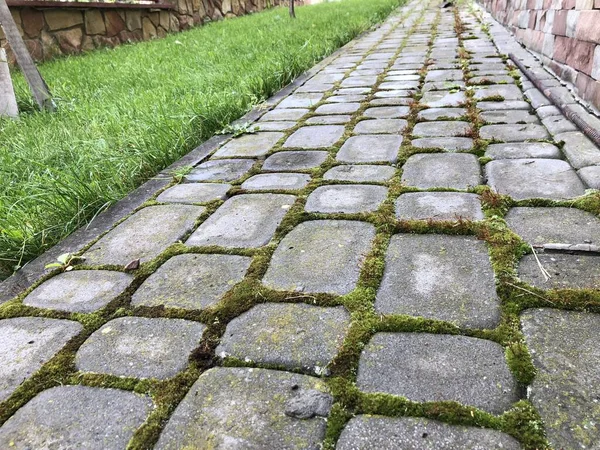 Pavers Aninhados Várias Cores Com Grama Verde Musgo Jardim Chique — Fotografia de Stock