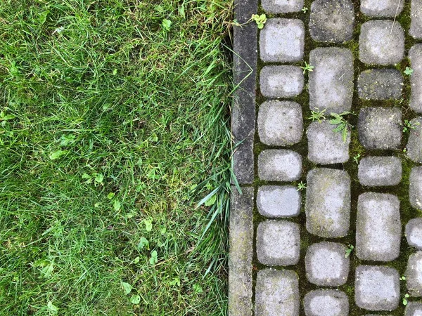 Pavers Aninhados Várias Cores Com Grama Verde Musgo Jardim Chique — Fotografia de Stock