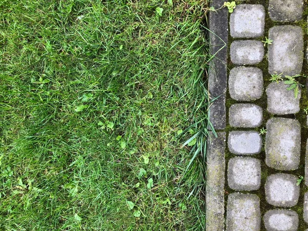 Pavers Aninhados Várias Cores Com Grama Verde Musgo Jardim Chique — Fotografia de Stock