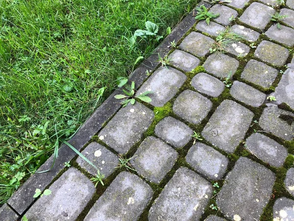 Pavés Imbriqués Différentes Couleurs Avec Herbe Verte Mousse Dans Jardin — Photo