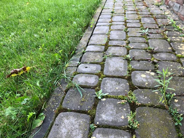 Pavers Aninhados Várias Cores Com Grama Verde Musgo Jardim Chique — Fotografia de Stock