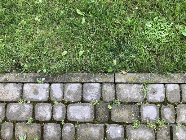 昼間にシックな庭に緑の芝生と苔を持つ様々な色のネストされた舗装 — ストック写真