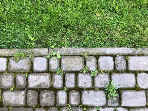 Pavers Aninhados Várias Cores Com Grama Verde Musgo Jardim Chique — Fotografia de Stock