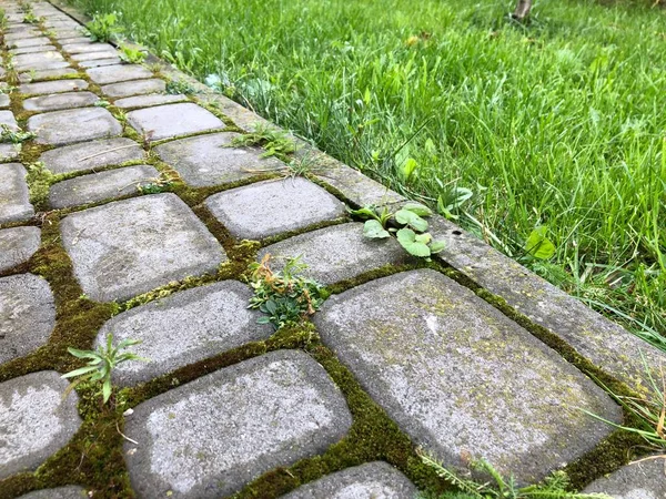 昼間にシックな庭に緑の芝生と苔を持つ様々な色のネストされた舗装 — ストック写真