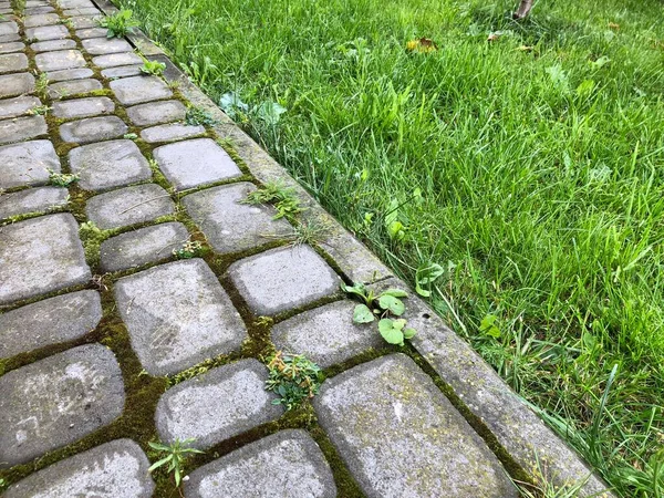 昼間にシックな庭に緑の芝生と苔を持つ様々な色のネストされた舗装 — ストック写真
