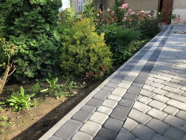 Gündüzleri şık bahçede çeşitli renklerde birbirine yakın köşeler.
