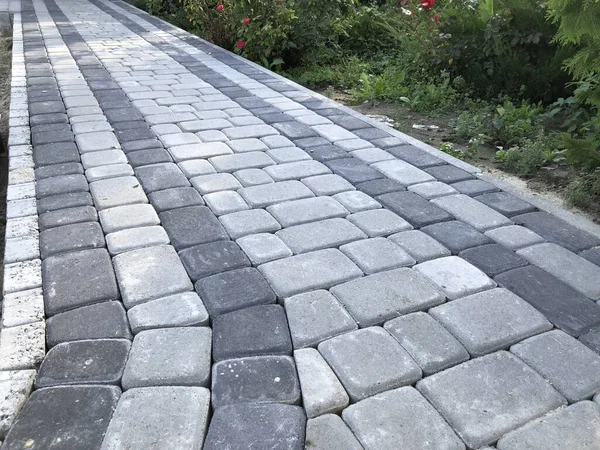 Gündüzleri şık bahçede çeşitli renklerde birbirine yakın köşeler.