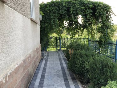 Gündüzleri şık bahçede çeşitli renklerde birbirine yakın köşeler.