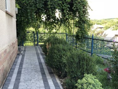 Gündüzleri şık bahçede çeşitli renklerde birbirine yakın köşeler.