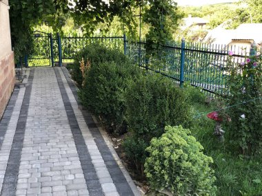 Gündüzleri şık bahçede çeşitli renklerde birbirine yakın köşeler.