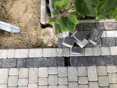 Gündüzleri şık bahçede çeşitli renklerde birbirine yakın köşeler.