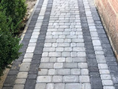 Gündüzleri şık bahçede çeşitli renklerde birbirine yakın köşeler.