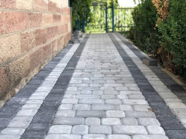 Gündüzleri şık bahçede çeşitli renklerde birbirine yakın köşeler.