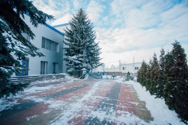 Değişik renklerde taşlar, parkta yürüyüş yolu. 