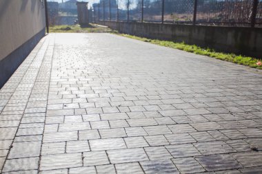 Yeşil bitkilerle dolu bahçe taşı patikası, gündüz vakti tuğla kaldırım. 