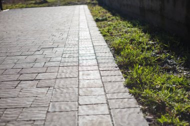 Yeşil bitkilerle dolu bahçe taşı patikası, gündüz vakti tuğla kaldırım. 