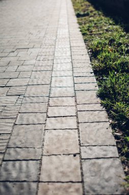 Yeşil bitkilerle dolu bahçe taşı patikası, gündüz vakti tuğla kaldırım. 