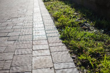 Yeşil bitkilerle dolu bahçe taşı patikası, gündüz vakti tuğla kaldırım. 