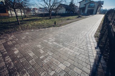 Yeşil bitkilerle dolu bahçe taşı patikası, gündüz vakti tuğla kaldırım. 