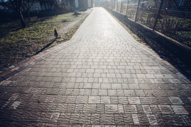 Yeşil bitkilerle dolu bahçe taşı patikası, gündüz vakti tuğla kaldırım. 