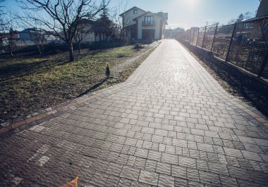 Yeşil bitkilerle dolu bahçe taşı patikası, gündüz vakti tuğla kaldırım. 