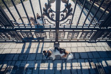 Kapalı demir kapıları ve kaldırım döşeme gelen road yakınındaki çit